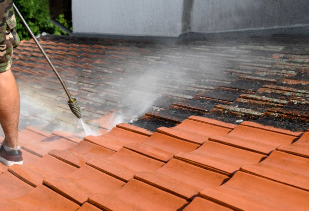 Best Affordable Pressure Washing  in Galatia, IL