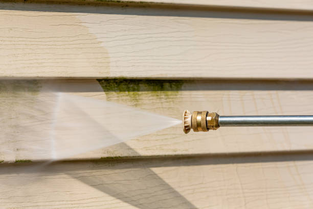 Best Power Washing Near Me  in Galatia, IL